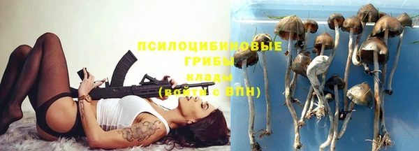 метадон Арсеньев