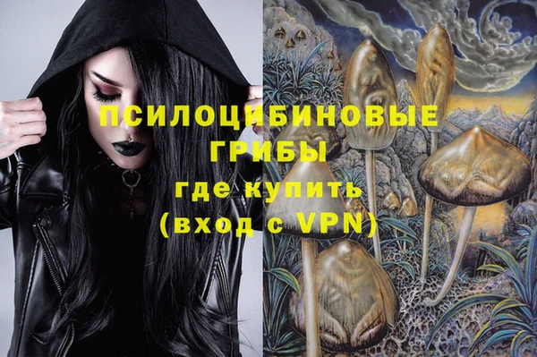 метадон Арсеньев
