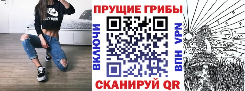Псилоцибиновые грибы Cubensis  Когалым 